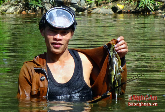 Săn c&aacute; đặc sản ở  Nghệ An - Ảnh 8.
