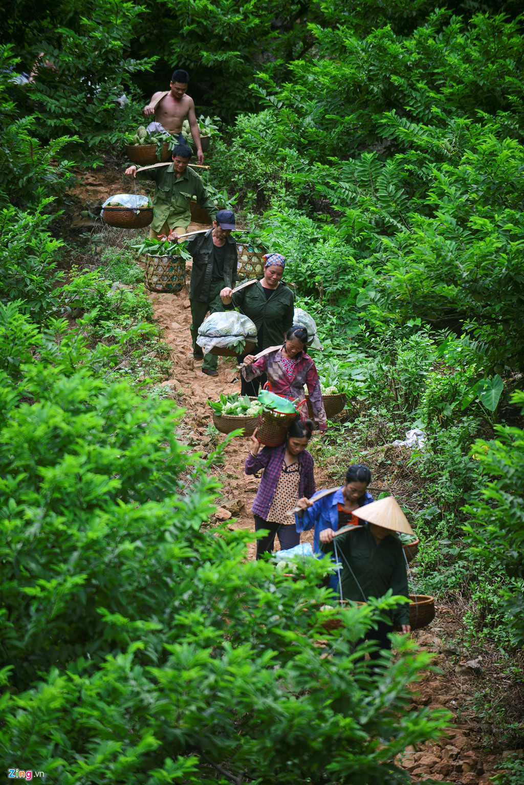 Nhọc nhằn trồng na tr&ecirc;n n&uacute;i đ&aacute; - Ảnh 7.