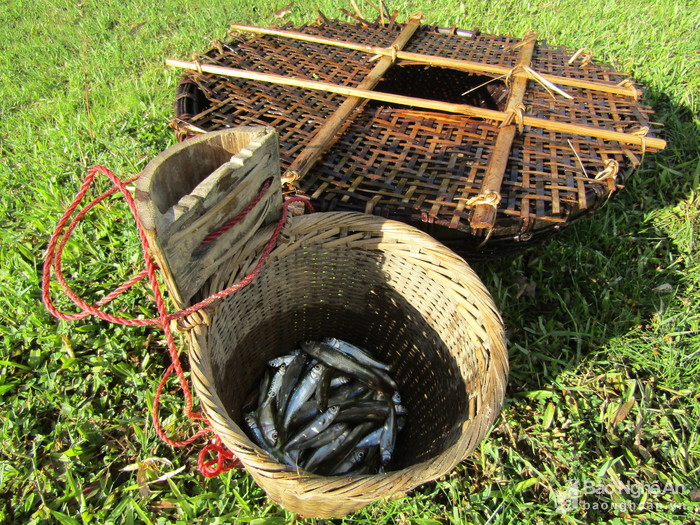 Chi&ecirc;u độc săn c&aacute; suối của trẻ em v&ugrave;ng cao Nghệ An - Ảnh 8.