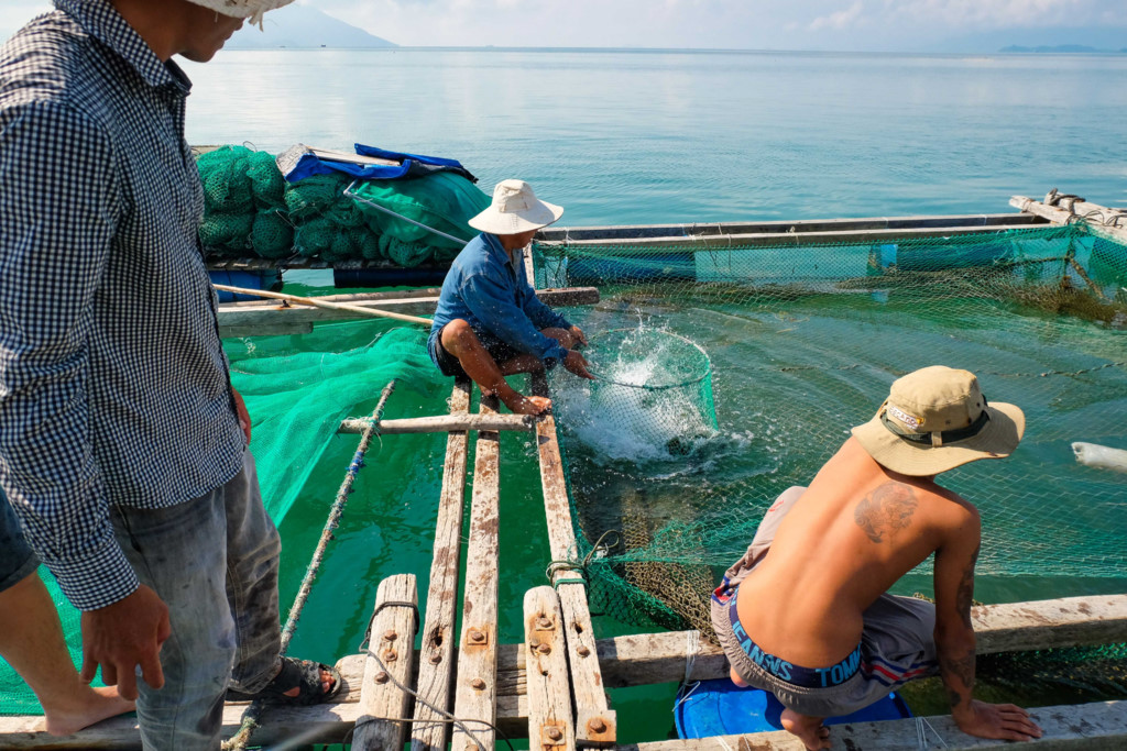 Mê mẩn với vẻ đẹp và hải sản Hòn Lớn