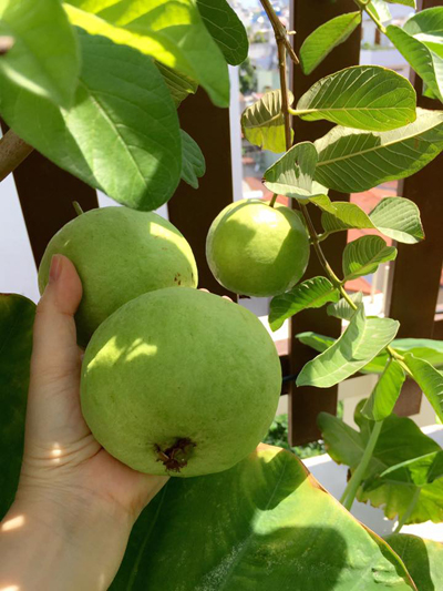 Ngỡ ng&agrave;ng khi l&ecirc;n s&acirc;n thượng nh&agrave; 1 nữ gi&aacute;m đốc - Ảnh 10.