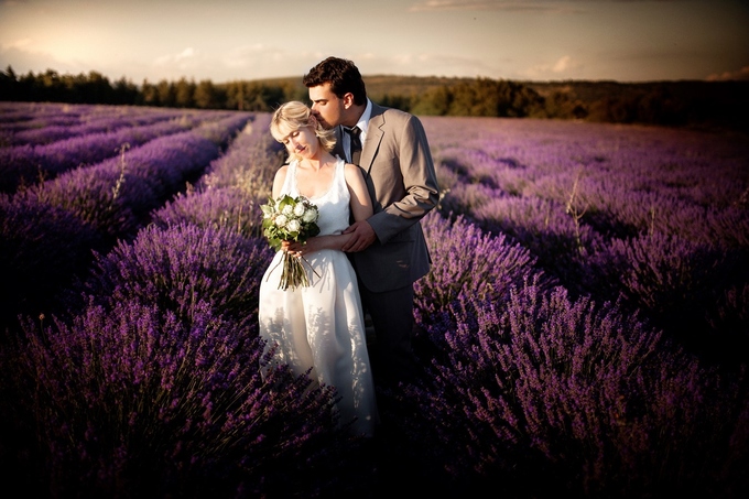Thiên đường oải hương tràn sắc tím giữa lòng Provence - Ảnh 10.
