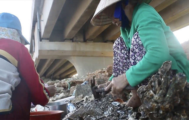 Săn h&agrave;u tr&ecirc;n s&ocirc;ng Tr&agrave; Bồng - Ảnh 3.