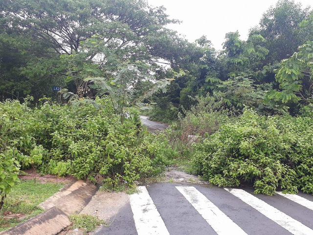 Nh&agrave; đầu tư nản l&ograve;ng, đất th&agrave;nh phố mới Nhơn Trạch đ&igrave;u hiu - Ảnh 9.