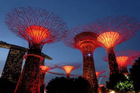 Gardens by the Bay - Thế giới diệu kỳ ở Singapore - Ảnh 9.