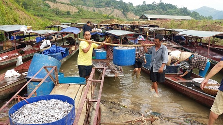 Mỏi tay bắt c&aacute; tr&ecirc;n s&ocirc;ng Đ&agrave; - Ảnh 3.