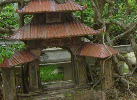 C&acirc;y sanh 1 tỉ đồng kh&ocirc;ng b&aacute;n chứa ẩn điều g&igrave;? - Ảnh 3.