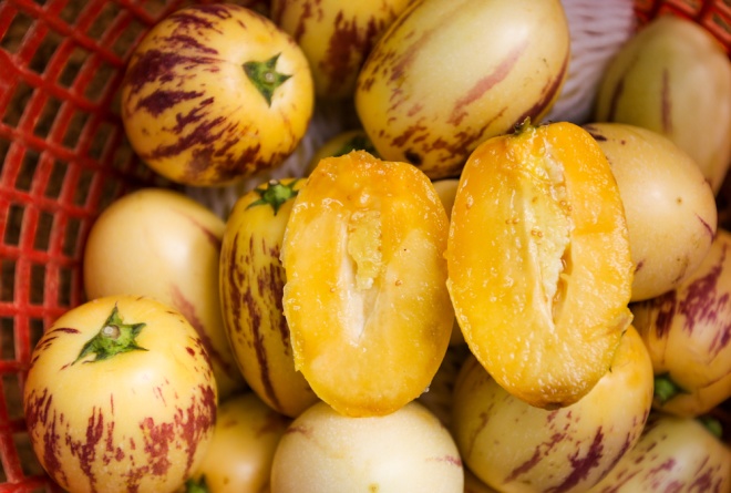 Quả dưa Pepino c&oacute; vị ngọt dịu, khi ch&iacute;n, tr&aacute;i c&oacute; m&agrave;u v&agrave;ng sọc t&iacute;m.