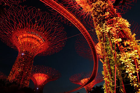 Gardens by the Bay - Thế giới diệu kỳ ở Singapore - Ảnh 10.