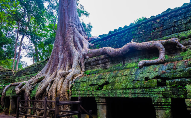 Ta Prohm - ng&ocirc;i đền của những rễ c&acirc;y kỳ dị  - Ảnh 10.