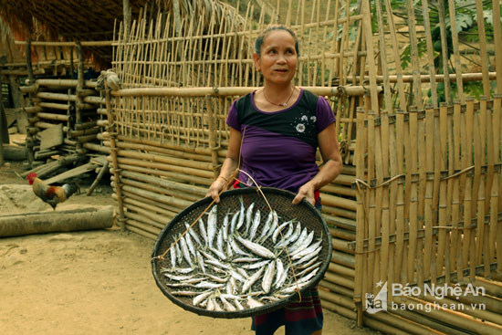 Ngỡ ng&agrave;ng miền T&acirc;y Nghệ An - Ảnh 10.