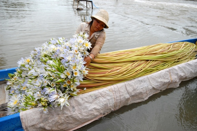 Cận cảnh săn, bắt, h&aacute;i, lượm  m&ugrave;a nước nổi - Ảnh 10.