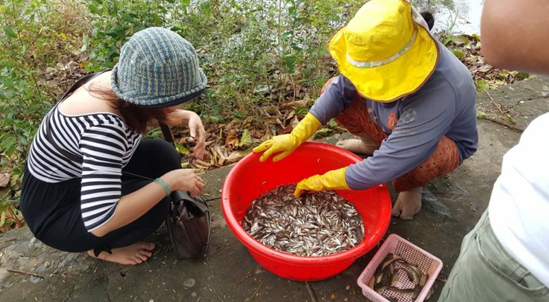 Sướng g&igrave; bằng ăn c&aacute; linh ngay đồng nước nổi - Ảnh 9.