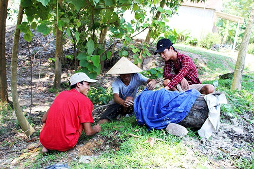 Kỳ thú chuyện săn ong giống ở xứ Nghệ - Ảnh 10.