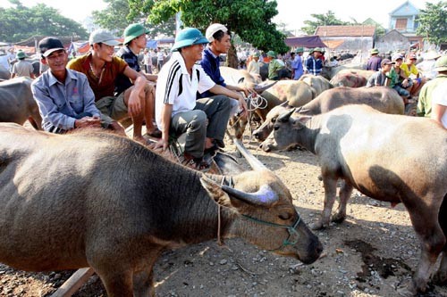 Những khu chợ chỉ b&aacute;n một mặt h&agrave;ng ở Việt Nam - Ảnh 10.