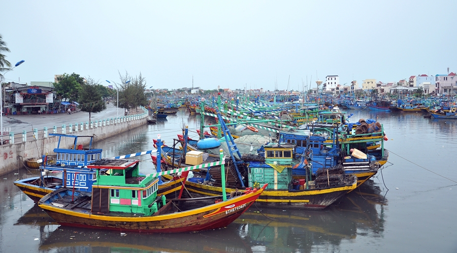 Bình Thuận: Hỗ trợ gần 16 tỉ đồng cho tàu đánh bắt xa bờ
