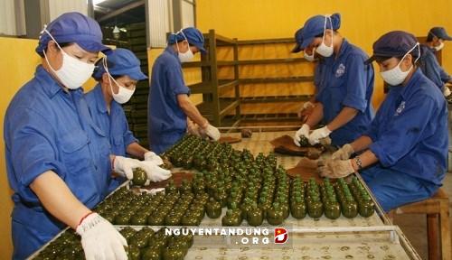 Mức hưởng BHYT đối với thân nhân viên chức quốc phòng