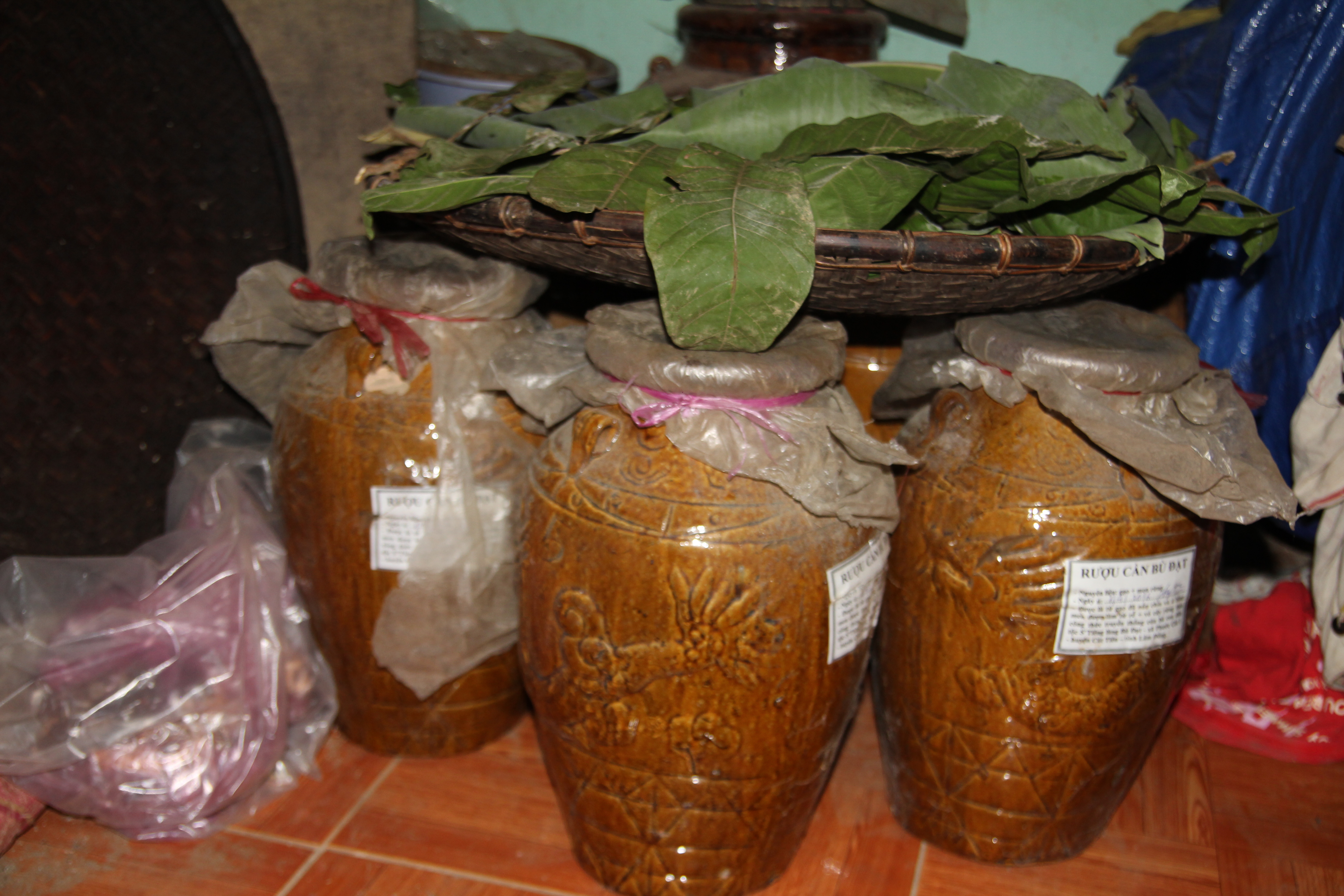 Những ché rượu cần người Mạ