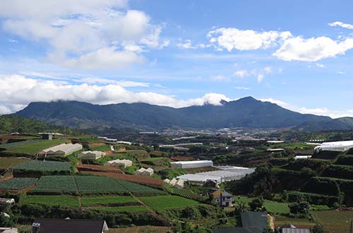Tín dụng tăng tốc