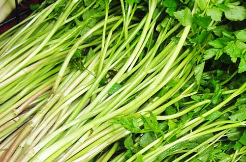 Rau cần giúp ngủ ngon