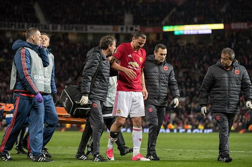 Fan Quỷ đỏ háo hức chờ Ibrahimovic trở lại - Ảnh 1.