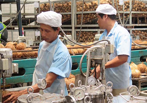 Tăng trưởng tín dụng khả quan