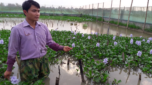 “Bảo mẫu” cho rắn - Ảnh 2.
