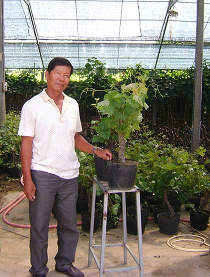 
&Ocirc;ng S&aacute;u Lang, bậc thầy của nho kiểng
