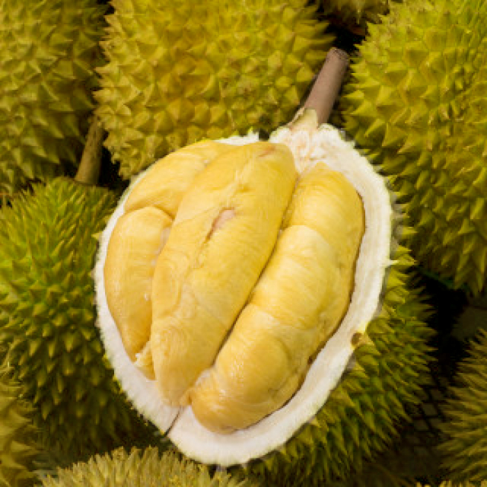 Khi n&agrave;o sầu ri&ecirc;ng trở th&agrave;nh chất độc với cơ thể? - Ảnh 2.