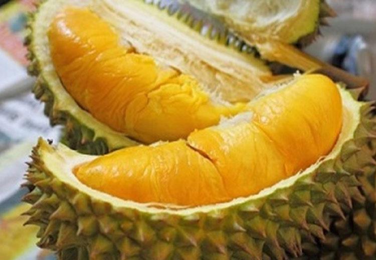 Các món ăn sầu riêng chữa bệnh