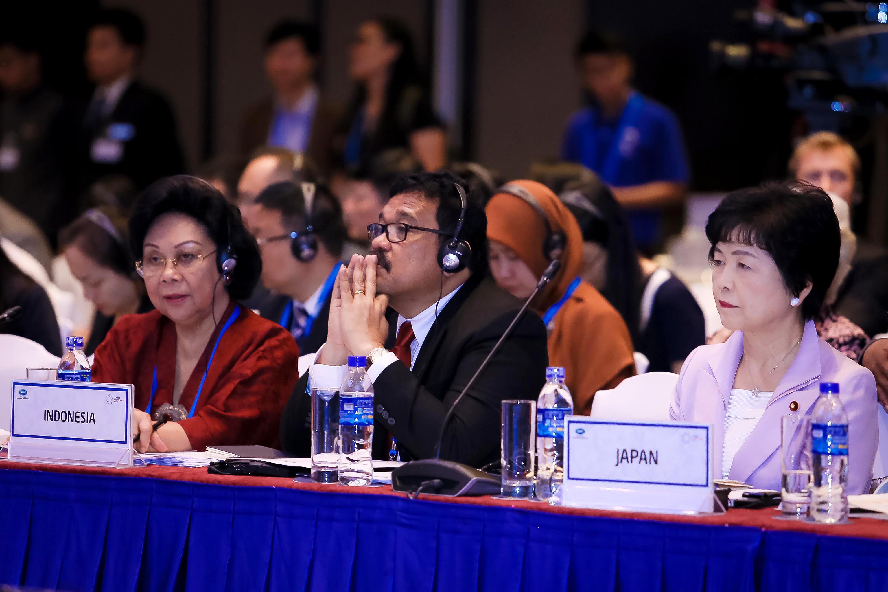 SOM 3 APEC: Giải bài toán già hóa dân số thần tốc của Việt Nam - Ảnh 3.