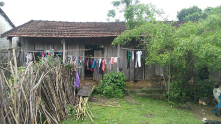 Mong một chốn an cư - Ảnh 2.