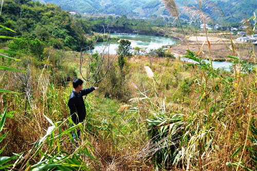 Thủy điện vẫn lăm le phá rừng