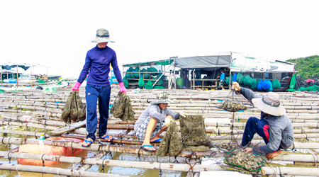 Nghề chăm con mọn ở đầm Nha Phu - Ảnh 2.