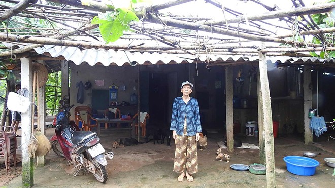 Chuyện khó tin nhưng có thật ở Quảng Trị