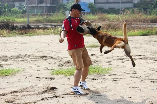 Hốt bạc vì thú cưng muốn biết... ngoại ngữ!