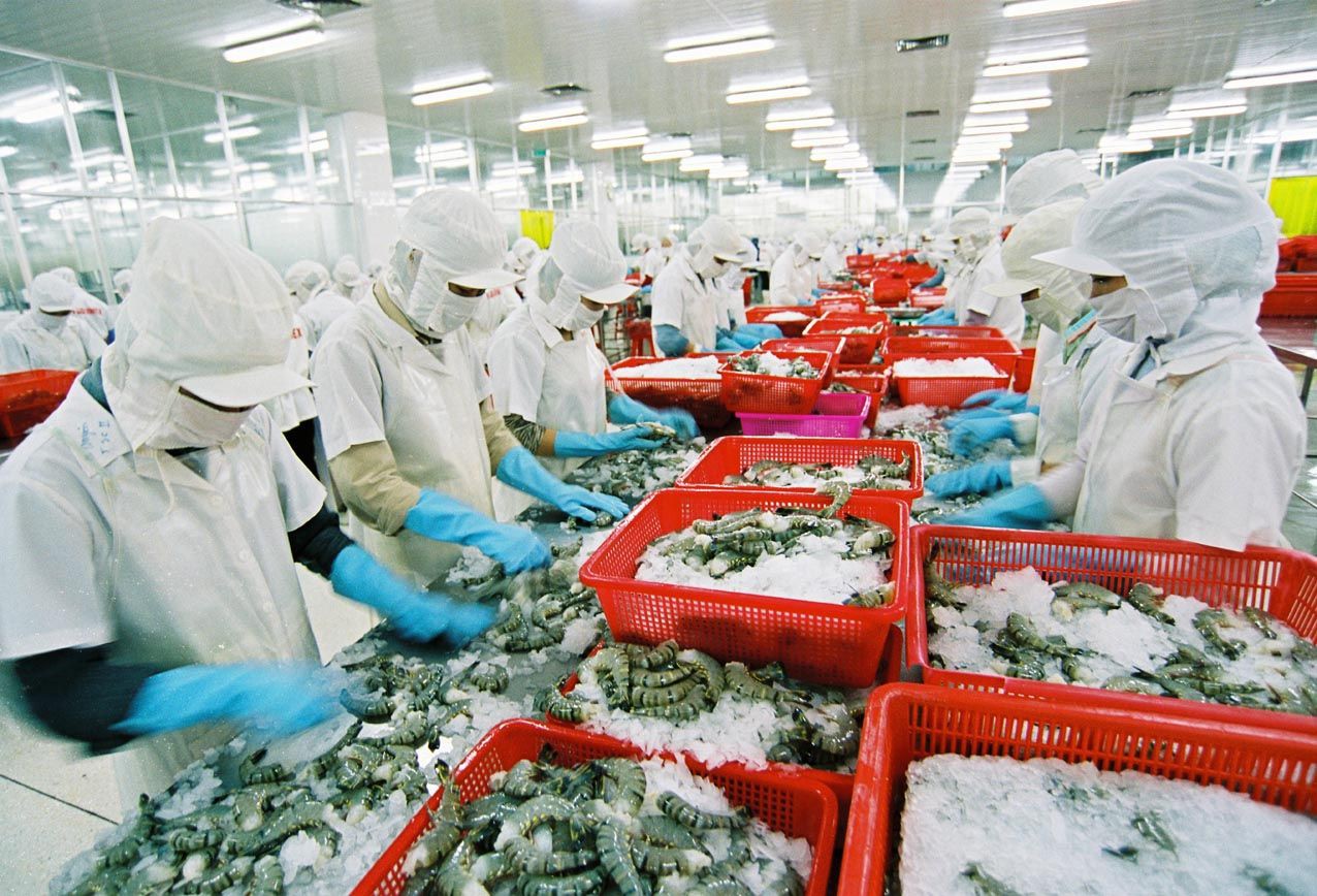 Sao bộ trưởng lạc quan thế!