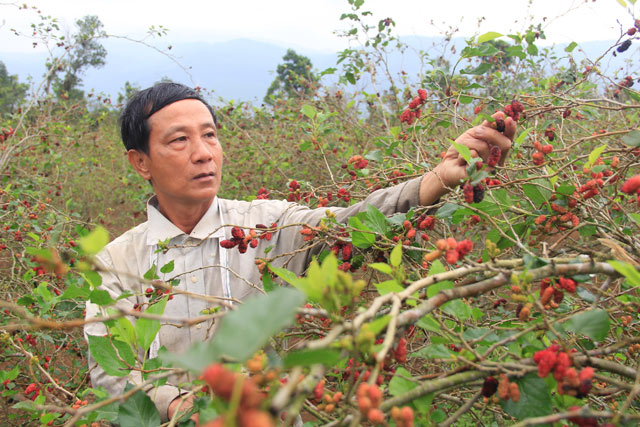 Lão gàn thành triệu phú - Ảnh 1.