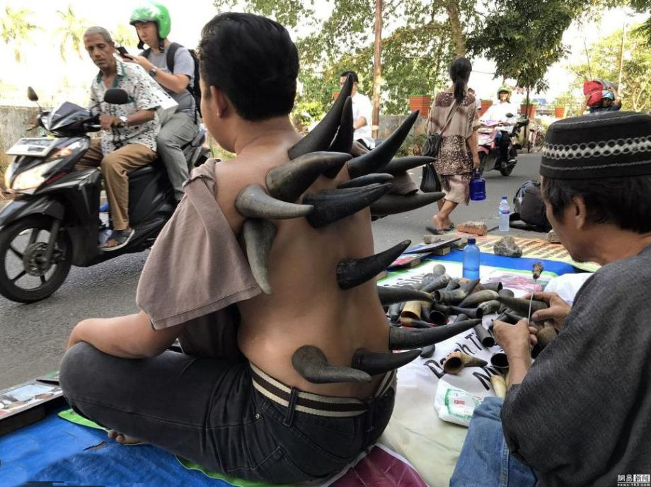 Giác hơi bằng sừng trâu