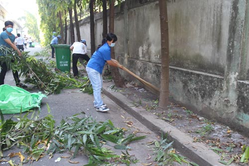 Công nhân hưởng ứng Ngày chủ nhật xanh