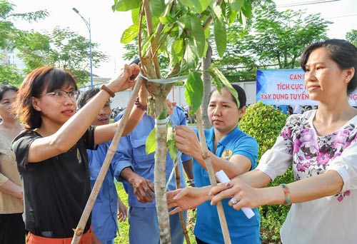 CNVC-LĐ trồng c&acirc;y, bảo vệ m&ocirc;i trường - Ảnh 1.