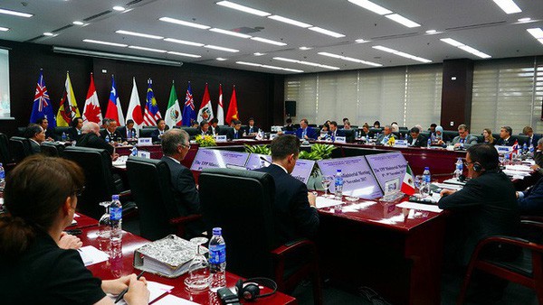 Bộ trưởng TPP-11  thống nhất ra tuy&ecirc;n bố chung - Ảnh 2.
