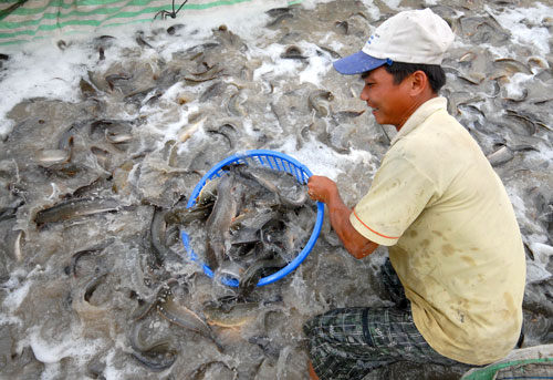 Biến đổi khí hậu là cơ hội phát triển
