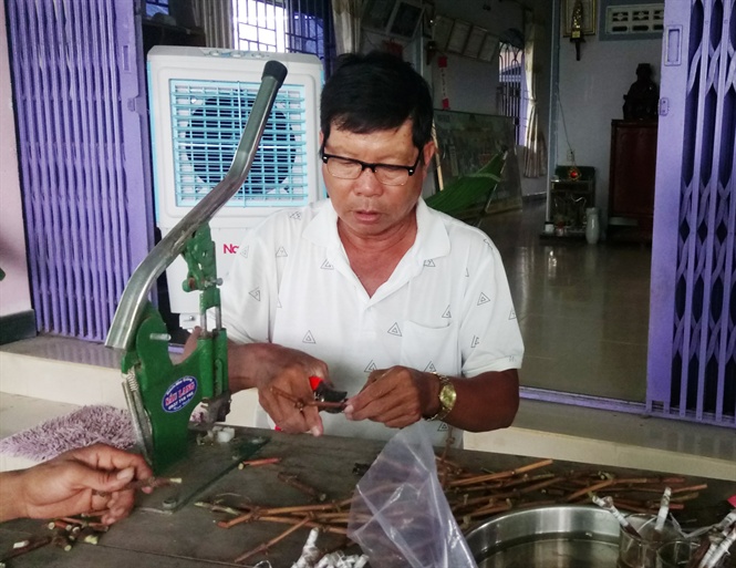 Ẵm vài tỉ đồng mỗi năm nhờ trồng nho giống - Ảnh 2.