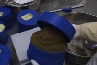 Cận cảnh quá trình sản xuất trứng cá caviar siêu đắt đỏ