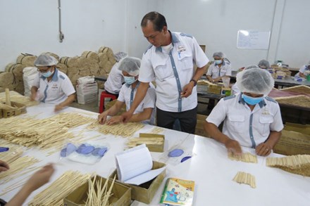 Lời thề của “Vua tre” Bình Dương