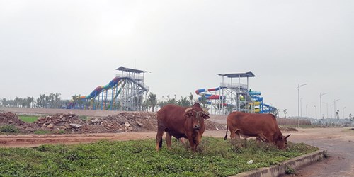 Tiền đâu làm siêu đô thị 15.000 ha?