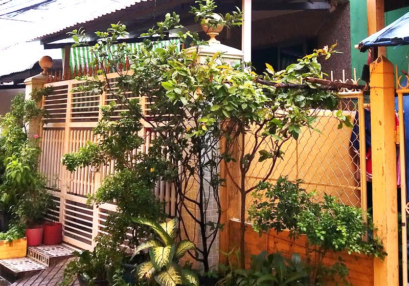5 năm không thi hành được bản án