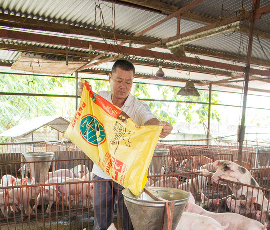 KKR đầu tư 250 triệu USD vào Masan Nutri-Science