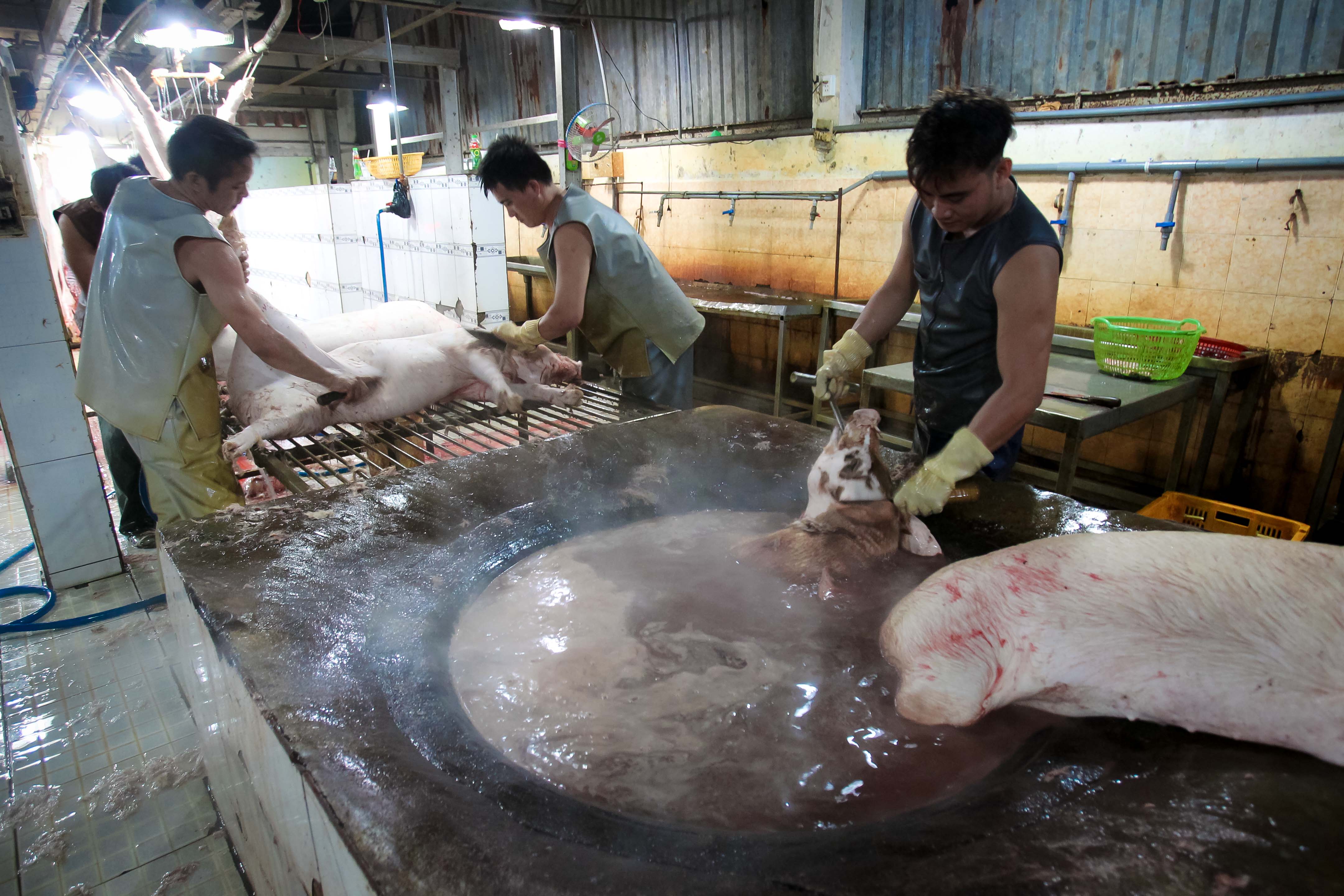 Kiểm tra giữa đ&ecirc;m, 100% thịt heo vẫn chưa thể truy xuất nguồn gốc - Ảnh 6.